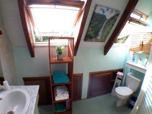 a bathroom with a sink and a toilet at Appartement Les Bougainvilliers Vue Mer in Saint-Claude