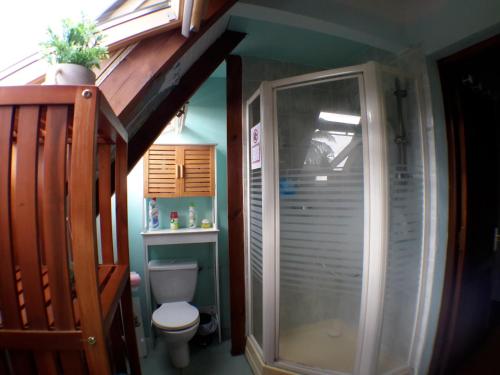 a bathroom with a toilet and a glass shower at Appartement Les Bougainvilliers Vue Mer in Saint-Claude