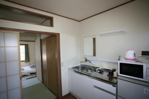 eine kleine Küche mit einer Spüle und einer Mikrowelle in der Unterkunft Fujiyama Base in Fujiyoshida