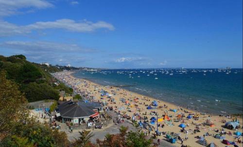 a crowd of people on a beach with umbrellas at Poppy at Oakdene Forest Park in Ringwood