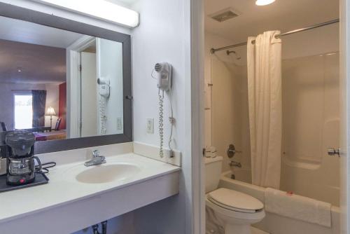 a bathroom with a sink and a toilet and a mirror at Econo Lodge in Ruther Glen