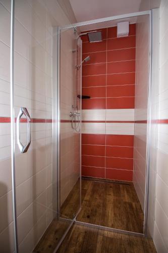 a shower with red and white walls and wooden floors at Rozboudovec in Křemže