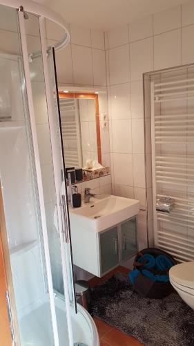 a bathroom with a sink and a shower and a toilet at Ferienwohnung Manuela in Adnet