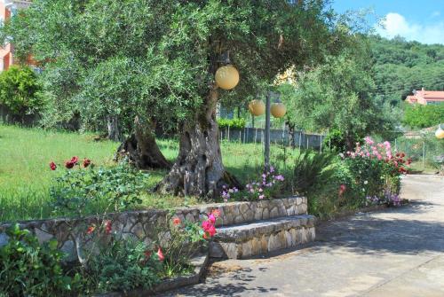 Gallery image of Lefkothea Apartments in Kassiopi