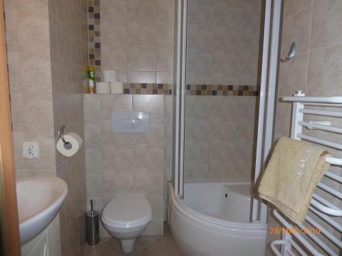 a bathroom with a shower and a toilet and a sink at Kantal Apartamenty Hel in Hel