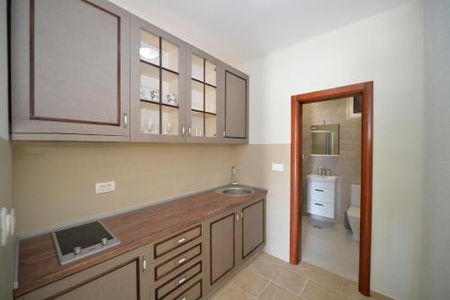 A kitchen or kitchenette at Pontus Luxury Apartments