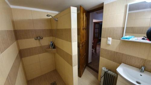 a bathroom with a shower and a sink and a mirror at Alföldi Vendégház - Dévaványa in Dévaványa