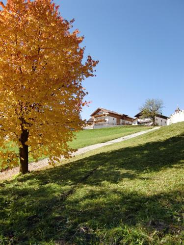 a tree on a hill with a house in the background at Der Brunnerhof in Mühlbach