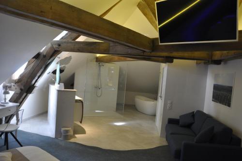 salon z kanapą i łazienką w obiekcie Les Tonnelles w mieście Bar-sur-Seine