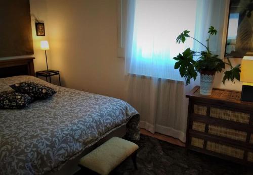 um quarto com uma cama e uma janela com uma planta em La Casetta di Perugia em Perugia