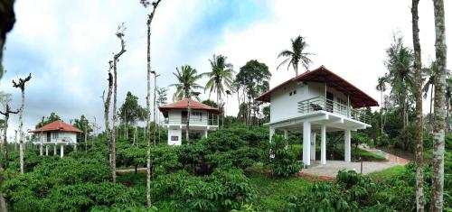 three houses in a forest with palm trees at THE SUVISTARA WAYANAD KERALA in Meenangadi