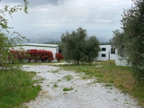 Φυσικό τοπίο κοντά σε αυτό το κάμπινγκ