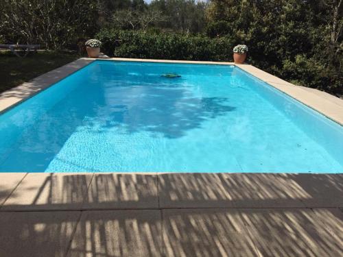 una gran piscina azul con terraza de madera en Ses Alzines Apartamento integrado en Casa Rural Habitada, en Llucmajor