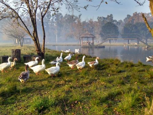 La Justina - Nuestro Campo