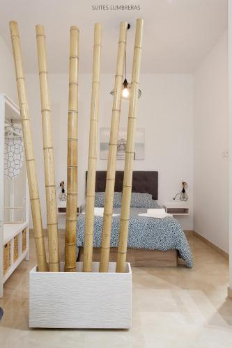 Suites Lumbreras