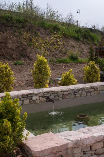 a duck swimming in a pond in a garden at Borgo Antichi Orti Assisi in Assisi