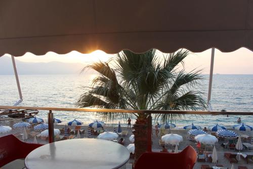 a view of a beach with a palm tree and the ocean at Palmanova Beach Mardok in Vlorë