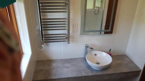 ein Badezimmer mit einem weißen Waschbecken und einem Spiegel in der Unterkunft Birch Lodge in Fort William
