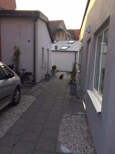 a cat is walking down a alley between two buildings at The Garden House in Lund