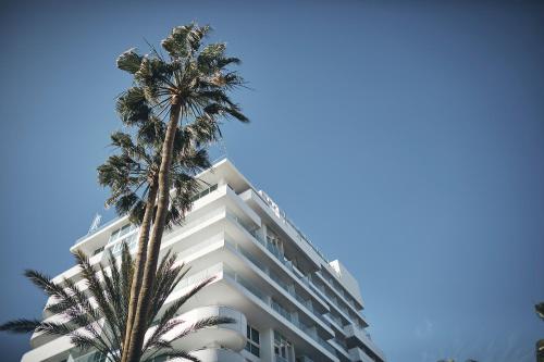 a tall white building with palm trees in front of it at ROBINSON JANDIA PLAYA - Adults only in Morro del Jable