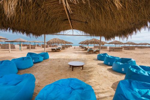 a beach with blue chairs and straw umbrellas at Shams Lodge in Hurghada