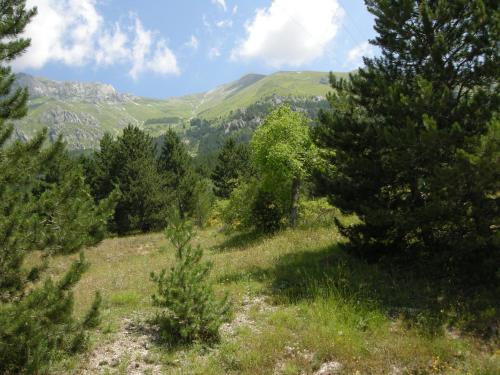 a field with trees and mountains in the background at Hotel Fiordigigli in Assergi