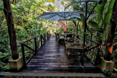 Waterfall Villas – Photos 4
