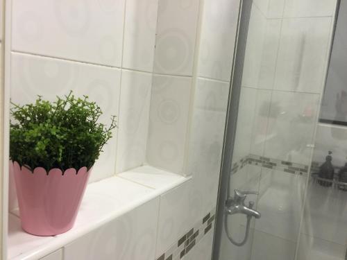 潮州鎮的住宿－夏慕里11號旅宿 ，坐于浴室架子上的盆栽植物