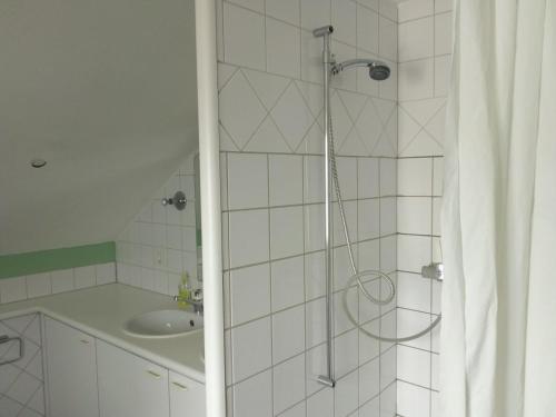 シュテファにあるHostel Seeburgのバスルーム(シャワー、シンク付)