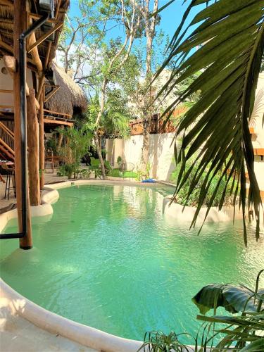 a pool of green water in front of a building at Hotel Boutique TerraNova in Tulum