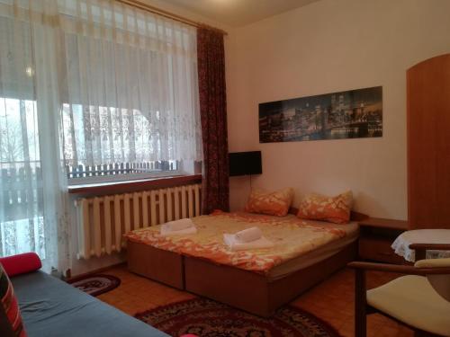 niewielka sypialnia z łóżkiem i oknem w obiekcie Pokoje Gościnne Ewa Nowicka we Fromborku