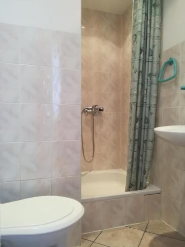 a bathroom with a shower and a toilet and a sink at Pokoje Gościnne Ewa Nowicka in Frombork