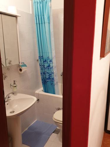 a bathroom with a toilet and a sink at Apartments and Rooms Dobrila in Jelsa