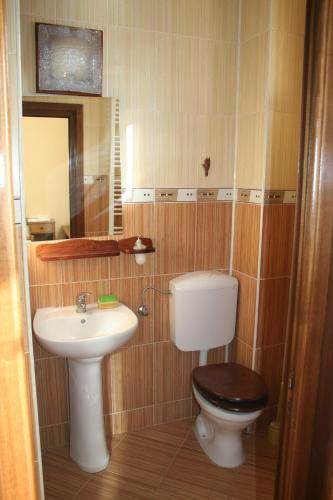 a small bathroom with a toilet and a sink at Cabana Iza in Bîrsana