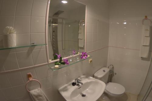 a bathroom with a sink and a toilet and a mirror at Hotel Carvajal in Torrejón el Rubio