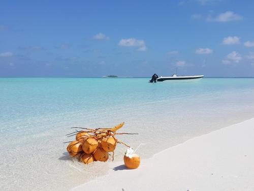 a pile of coconuts sitting on a beach at Sea View Villa Ukulhas in Ukulhas