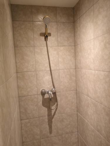 a shower with a shower head in a bathroom at Hotel Holland Lodge in Utrecht