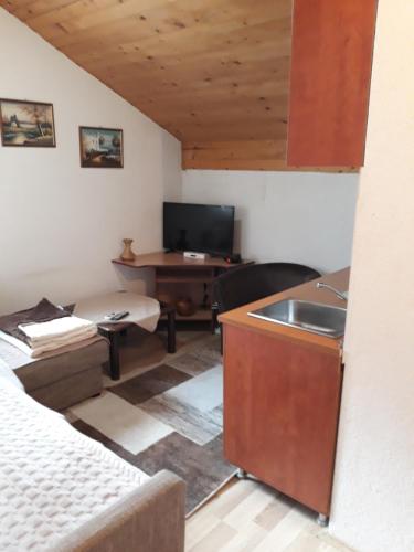 ein Wohnzimmer mit einem Waschbecken und einem Schreibtisch in der Unterkunft Apartment Suzana in Mavrovo-Nationalpark