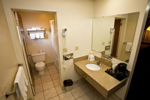 W łazience znajduje się umywalka, toaleta i lustro. w obiekcie Americas Best Value Inn Roosevelt/Ballard w mieście Roosevelt