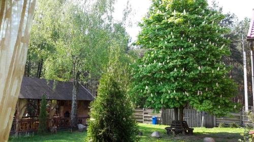 Gallery image of Садиба Лісова казка in Szack