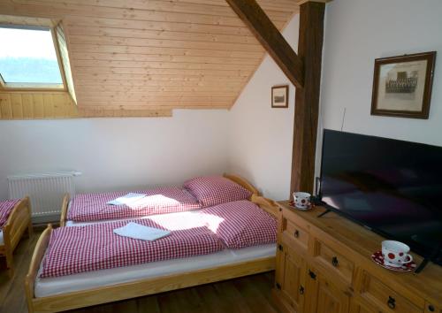 a bedroom with a bed and a flat screen tv at Hospoda U Lípy in Ostrov