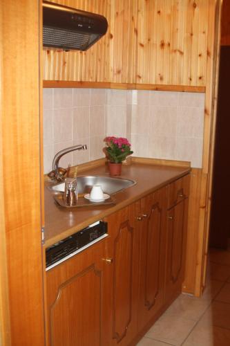 Kuchyň nebo kuchyňský kout v ubytování Balogiannis Hotel