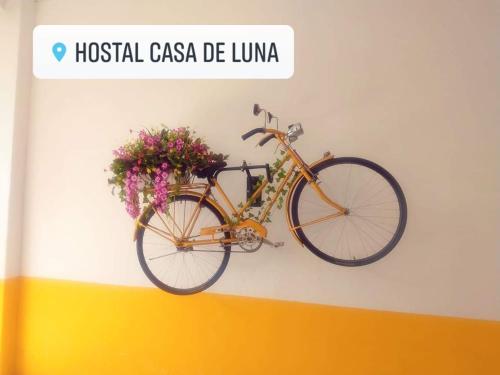 Ein Fahrrad hängt an einer Wand mit Blumen in der Unterkunft Casa de Luna in La Dorada