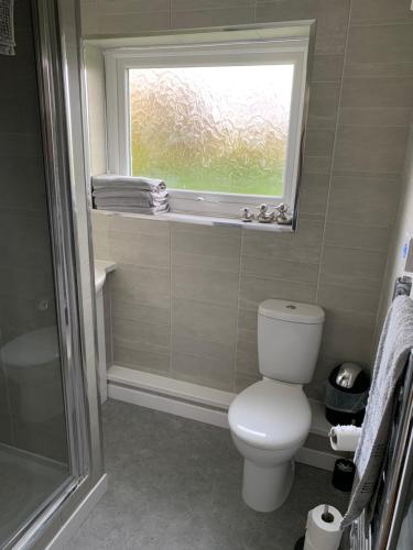 a bathroom with a toilet and a window at 24 Gower Holiday Village in Reynoldston