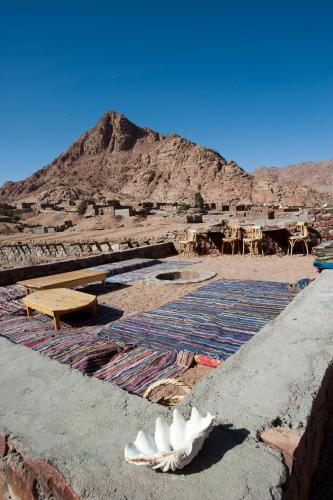 a bird sitting on a ledge with a mountain in the background at Sheikh Mousa Bedouin Camp in Saint Catherine