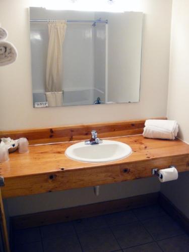 Ένα μπάνιο στο Hiawatha Lodge Inn