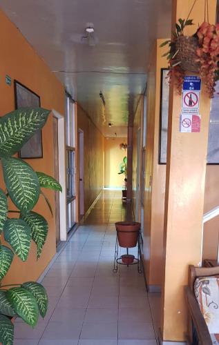 een hal in een gebouw met een hal bij HOTEL DON JESUS (MORELOS) in Aguascalientes