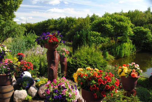 a garden filled with lots of different types of flowers at Hotel Ruhekrug in Schleswig