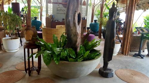 a plant in a pot on a table with other plants at Sahaa Beach Resort in Sihanoukville