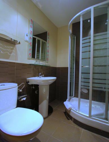 a bathroom with a toilet and a shower and a sink at Hostal Regio in Madrid